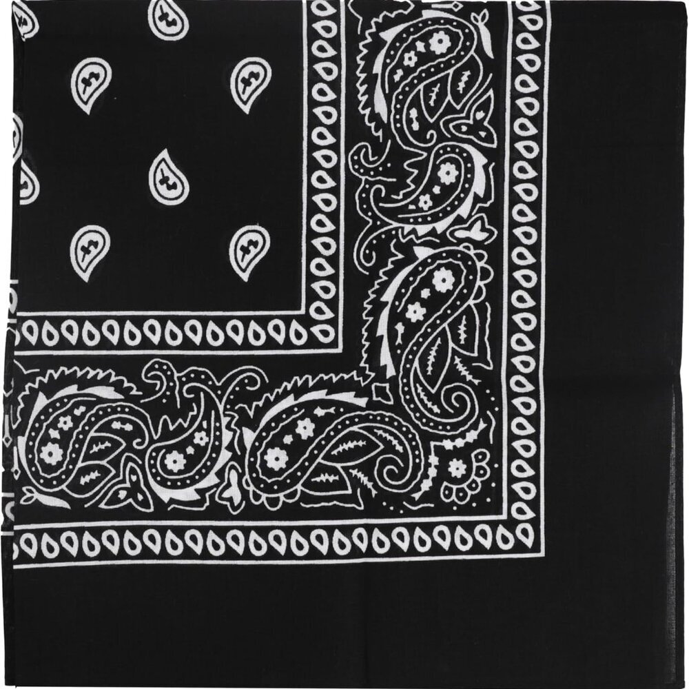 22 Inch Cotton Paisley Bandana